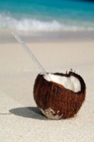 Coconut in the Sand